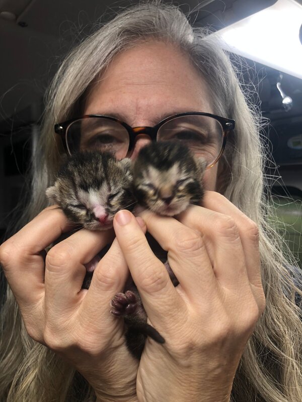 Dr. Jeanne Hart holding newborn kittens